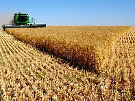 В Тамбовской области собрали более 2 млн тонн зерна