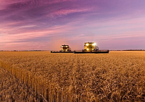 Стало известно об уходе из России иностранного экспортера зерна