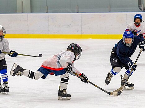 Ледовый дворец "Умка" в Ховрине капитально отремонтируют