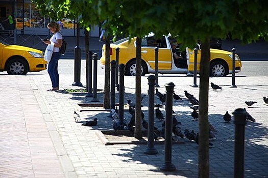 Географ БФУ им. И. Канта: Температуры начала июня 2019 года аномальные