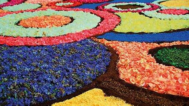Живой цветочный ковёр создадут в ОАЭ