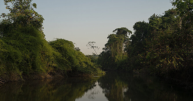 La Vanguardia (Испания): погубит ли Китай леса Амазонии?