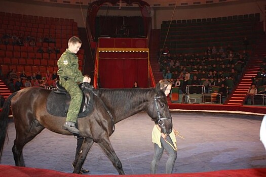Более 600 ярославских школьников побывали на открытой репетиции циркового шоу «Инди Ра»