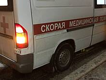 В России трое детей погибли в ДТП с участием товарного поезда и легковой машины