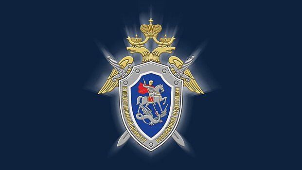 Вячеслав Володин поздравил сотрудников органов следствия с профессиональным праздником