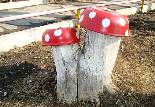Деревья на проспекте Кирова могут превратиться в "грибы" из тазиков и пеньков