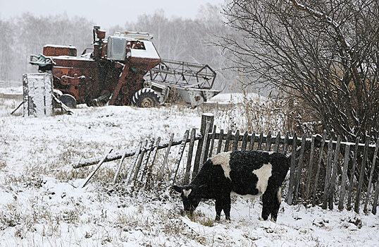 Аграрное и деловое сообщество просит правительство не повышать утилизационный сбор на сельхозтехнику
