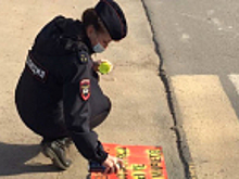 В Ивановской области сотрудники Госавтоинспекции и волонтеры проводят акцию «Трафарет безопасности»