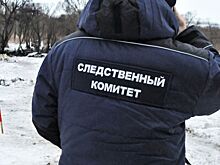 Пропавший россиянин найден мертвым с огнестрельным ранением в салоне авто