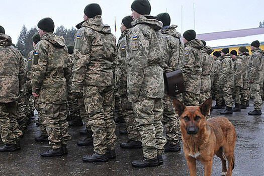 Украинскому добровольцу вручили в отряде территориальной обороны фанерный автомат для тренировок по борьбе с РФ