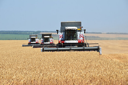 Донские аграрии собрали первый миллион тонн зерна нового урожая