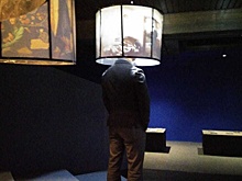 Передвижная выставка «Вася, вставай!» проходит в Красноярске