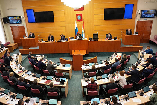Добавили на социалку: губернская дума приняла масштабные поправки в бюджет области