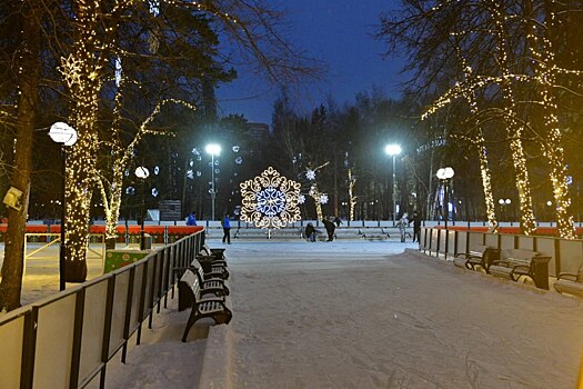 В Новосибирске 4 марта закроется каток в Центральном парке
