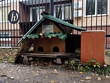 Юрист рассказала, как законно построить домик для животных в московском дворе