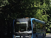 Чтобы отдохнуть на пляже, необязательно уезжать из Москвы
