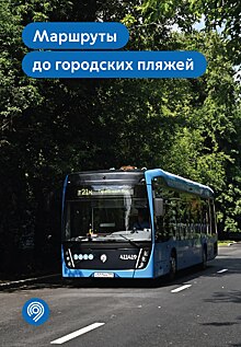 Чтобы отдохнуть на пляже, необязательно уезжать из Москвы