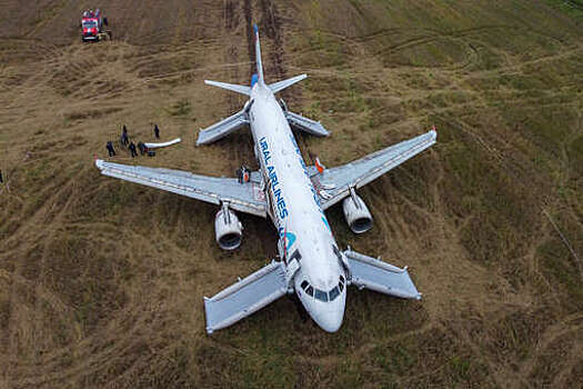 Глава Убинского района Конюк захотел сделать севший под Новосибирском самолет экспонатом