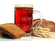 Доктор медицинских наук Шевелева: лучше пить 1–2 стакана кваса в день