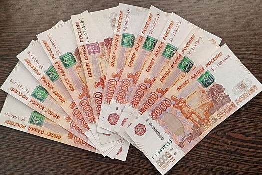 В Общественной палате допустили возможность введения безусловного базового дохода в России