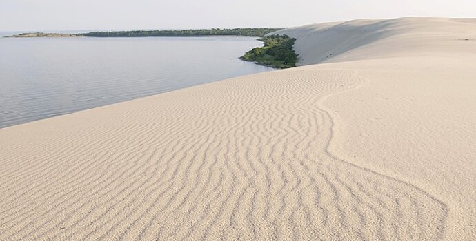 Руководство «Куршской косы» попросило посетителей перестать искать клад