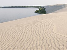 Руководство «Куршской косы» попросило посетителей перестать искать клад