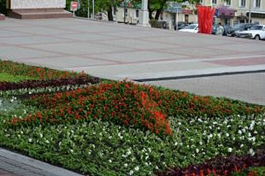 В Ставрополе появилась клумба-звезда ко Дню Победы