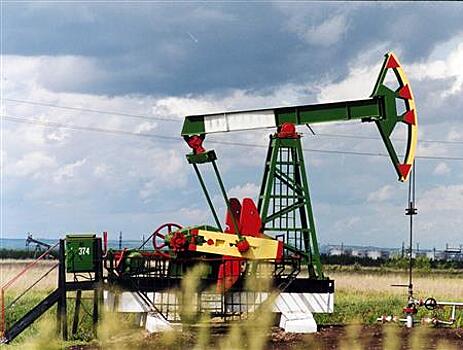 Питерский девелопер купил два нефтяных участка в Самарской области