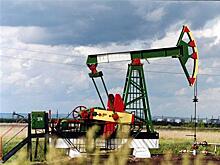 Питерский девелопер купил два нефтяных участка в Самарской области