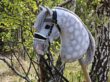 Курганцы начали скачки на игрушечных конях, популярных в TikTok