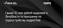 Свыше 82 млн рублей выделили в Ленобласти на программу по трудоустройству подростков