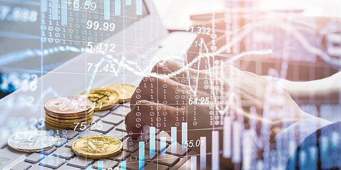 Эксперт оценил последствия возможного запрета на операции с криптовалютами в России