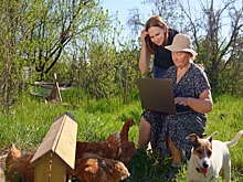 Школкина призвала увеличить финансирование на развитие села