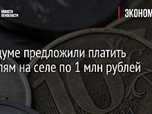 В Госдуме предложили платить учителям на селе по 1 млн рублей