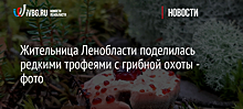Жительница Ленобласти поделилась редкими трофеями с грибной охоты - фото
