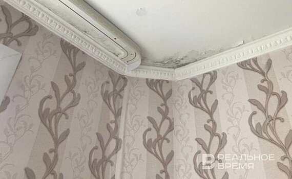 "С запахом сырости и плесени мы просыпаемся каждое утро": казанцы теряют надежду на капремонт своего дома