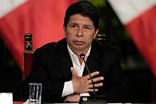 В МИД Мексики заявили, что экс-президент Перу Кастильо запросил политическое убежище