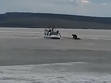 Езда на велосипеде по льду водохранилища чуть не погубила жителя Приангарья