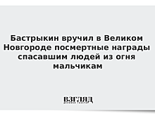 В Великом Новгороде посмертно наградили мальчиков, спасавших людей из огня