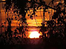 На Солнце произошел очень крупный взрыв