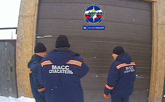 Жена не дождалась мужа из гаража