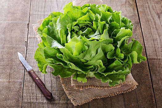 Листовые овощи могут содержать кишечную палочку