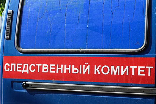 Бастрыкин запросил доклад о нападении собаки на ребенка в Балашихе