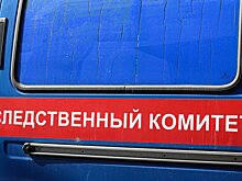 Семьи топтавших флаг в Обнинске решили лишить гражданства