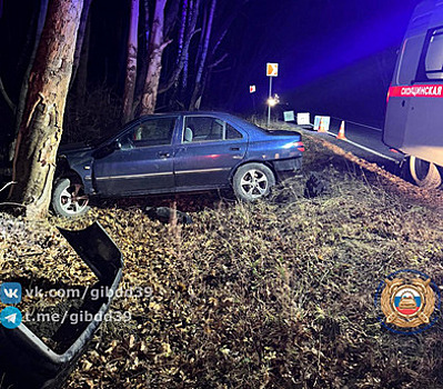 На трассе Калининград — Балтийск легковушка снесла дорожный знак и врезалась в дерево