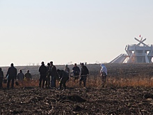 В Курской области на мемориале «Тепловские высоты» высадили кедры