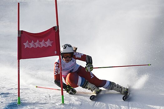 Плешкова и Андриенко — чемпионы России по горнолыжному спорту в скоростном спуске