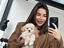 Карину Нигай призвали проверить на уклонение от уплаты налогов