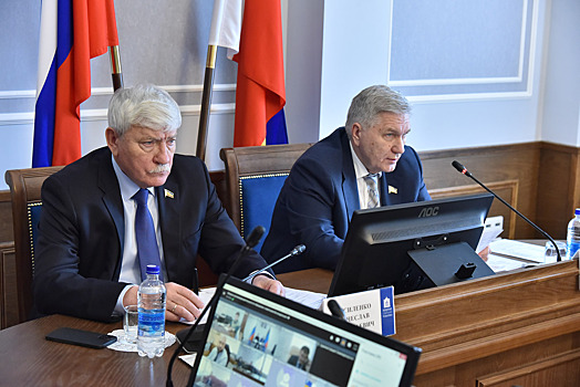 На Дону вопрос обращения с безнадзорными животными требует законодательной корректировки