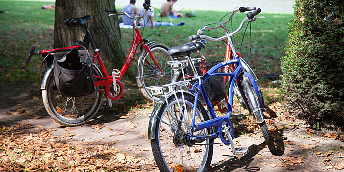 «Некоторые процедуры надо проводить ежедневно»: что входит в техническое обслуживание велосипеда?